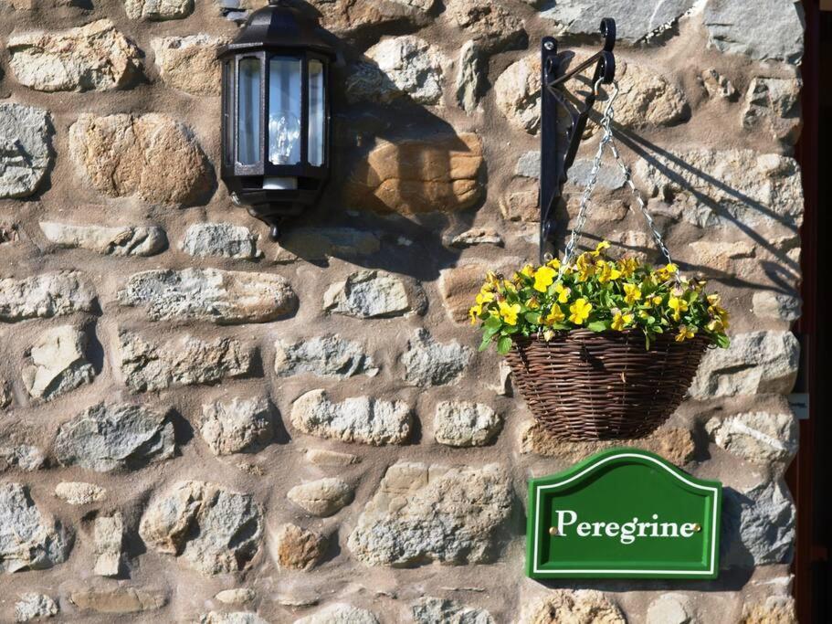 Peregrine Stable Cottage Llandovery Kültér fotó